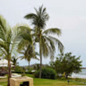 Meet your Posher, Aliesha